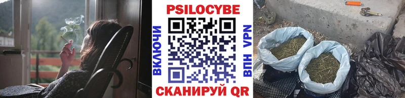 blacksprut как войти  Волжский  Галлюциногенные грибы Cubensis 